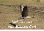 klick für mehr von Michael Carl