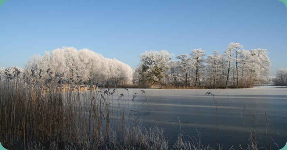 Nymphensee Brieselang im Winter